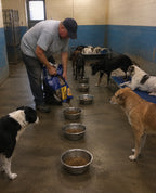 Support our Dogs