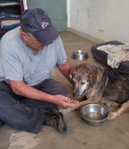 Support our Dogs